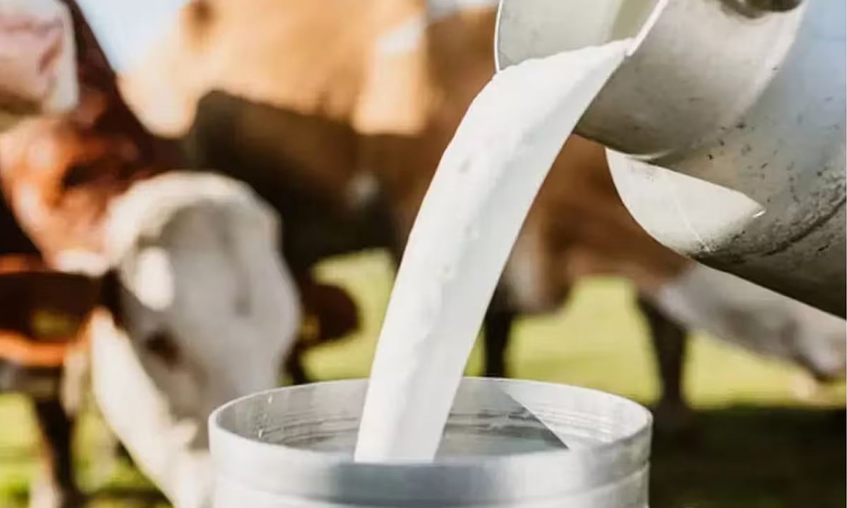 மீண்டும் தனியார் பால் விற்பனை விலை உயர்வு..!- பால் முகவர்கள் சங்கம் கண்டனம்