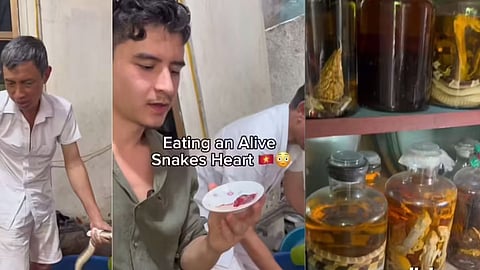 பாம்பின் துடிக்கும் இதயத்தை பச்சையாக சாப்பிட ரெடியா?.. அப்போ இந்த ஊருக்கு போங்க! 