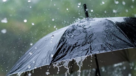 Rain