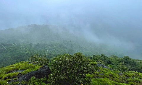 வானிலேயே மறையும் மழைத்துளிகள்: வடமேற்குத் தொடர்ச்சி மலையில் நடப்பது என்ன?