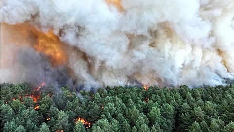 Terrifying Wildfire in Paris