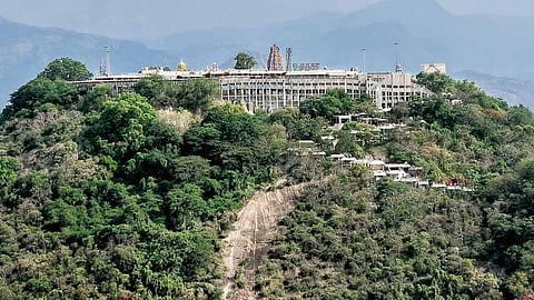 Palani Temple