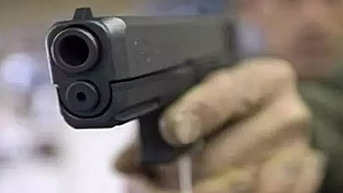 Gun