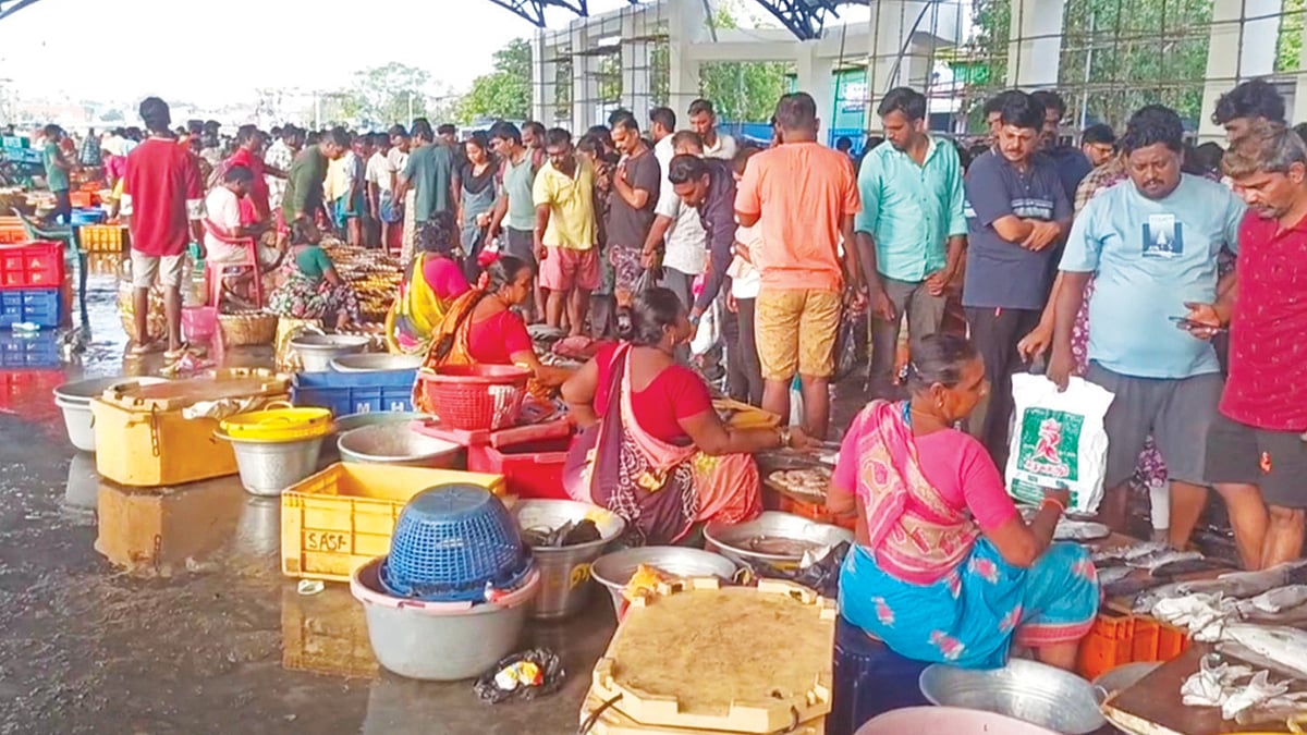 காசிமேட்டில் மீன்கள் வரத்து குறைவால் விலை அதிகரிப்பு- மீன் பிரியர்கள் ஏமாற்றம்