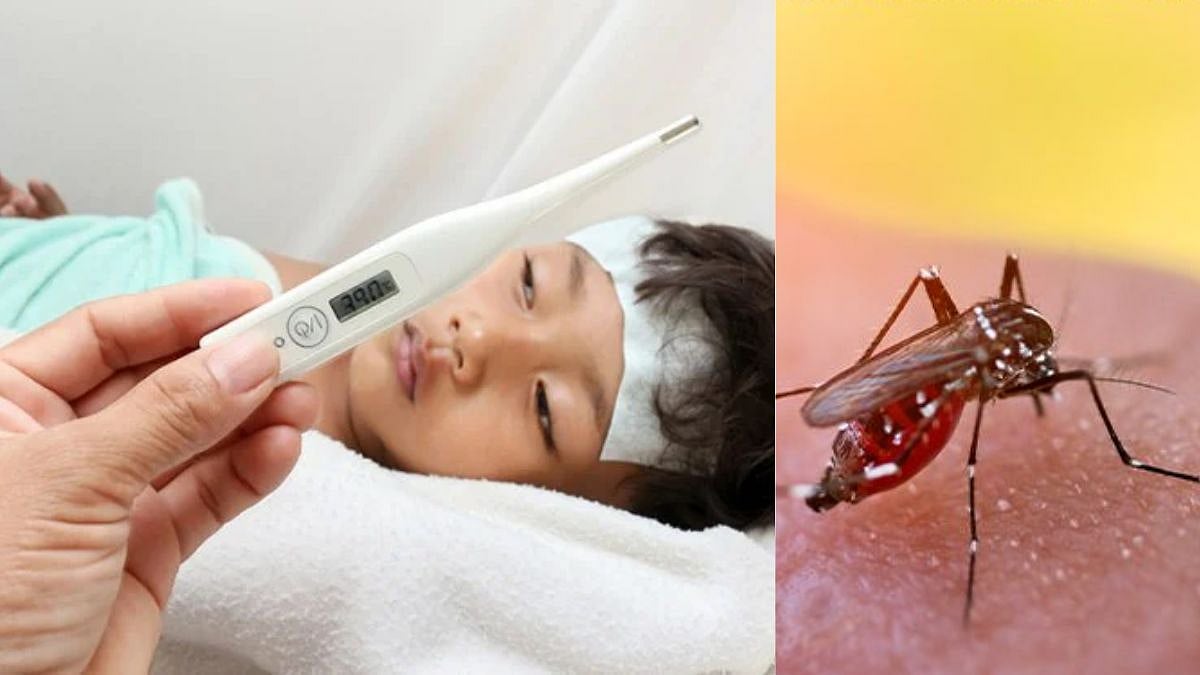 உள்நாட்டில் கண்டுபிடிக்கப்பட்ட டெங்கு காய்ச்சலுக்கான முதல் தடுப்பூசி: இந்தியா ஒப்புதல்