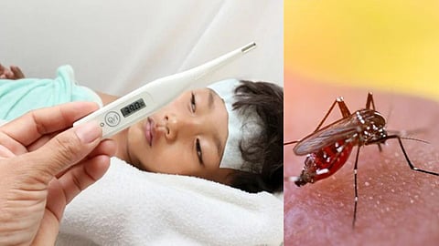 Drug regulator clears India's first Dengue Vaccine