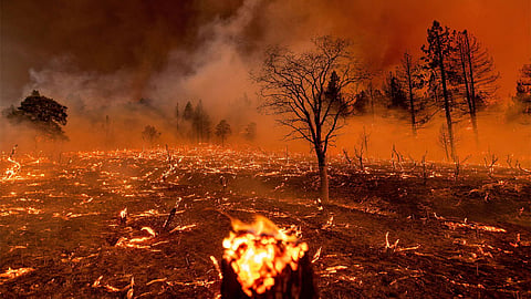 Wildfire Intensifies in the US