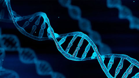 DNA