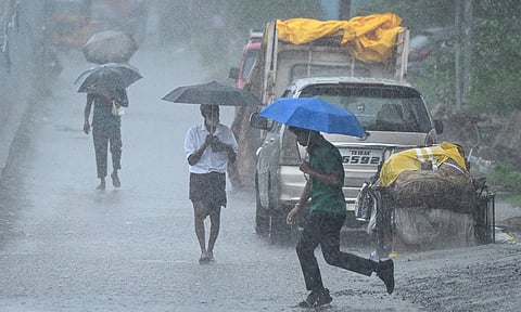 TN Rain