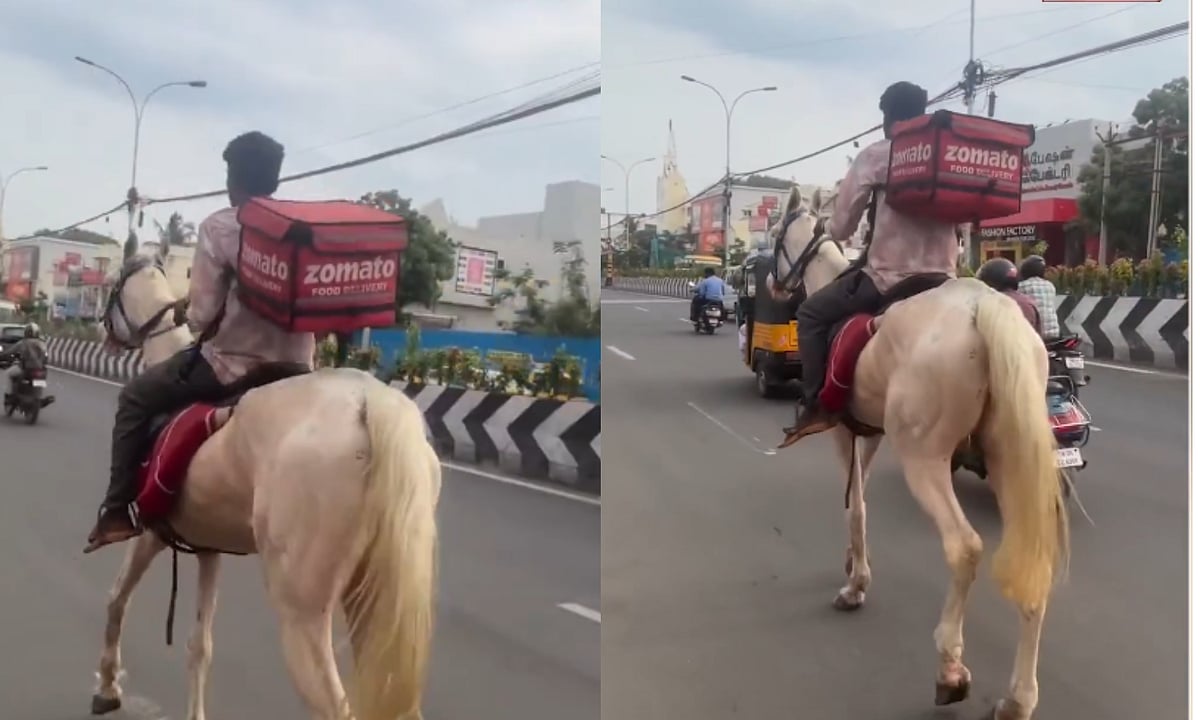சென்னை ஈசிஆர் சாலையில் குதிரை மூலம் உணவு டெலிவரி செய்த ஜொமாட்டோ ஊழியர்..