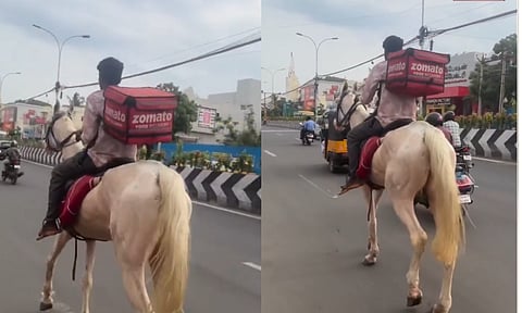 ZomatoHorseDelivery