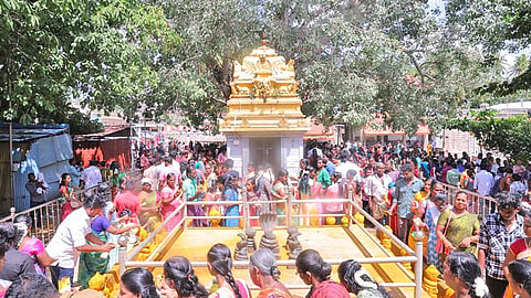 Nagaraja Temple