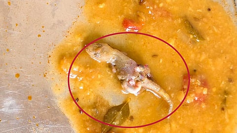 சாம்பாரில் கிடந்த இறந்து கிடந்த பல்லி