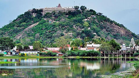 Palani Dandayuthapani temple 