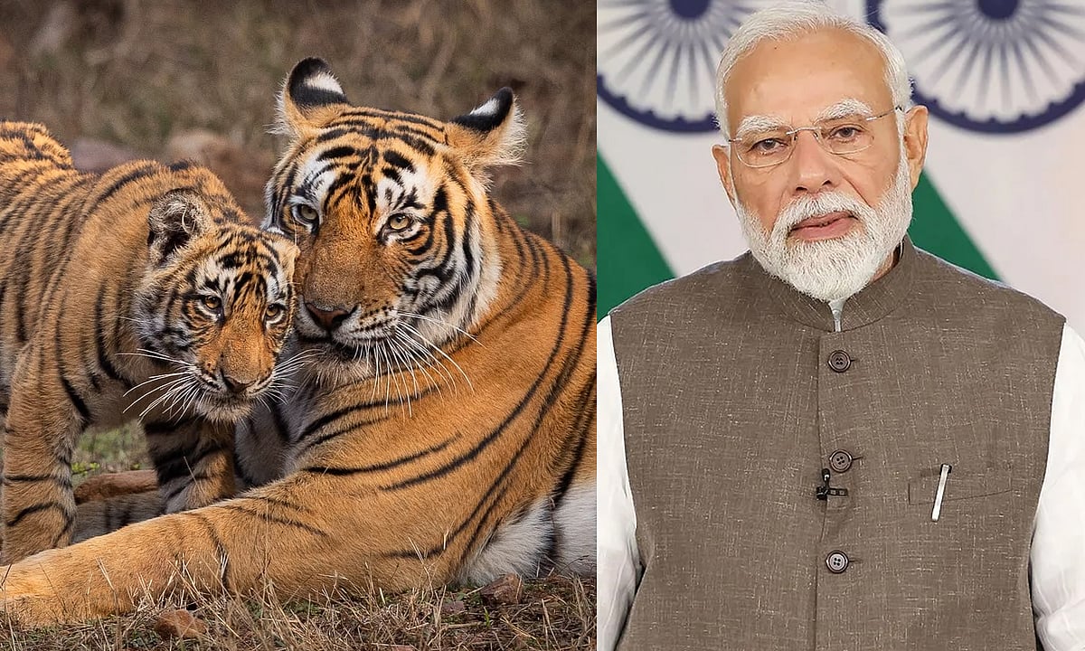 இயற்கையோடு இயைந்த கலாச்சாரமே புலிகள் பாதுகாப்பிற்கு காரணம்- பிரதமர் மோடி