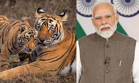 Tiger-PM Modi