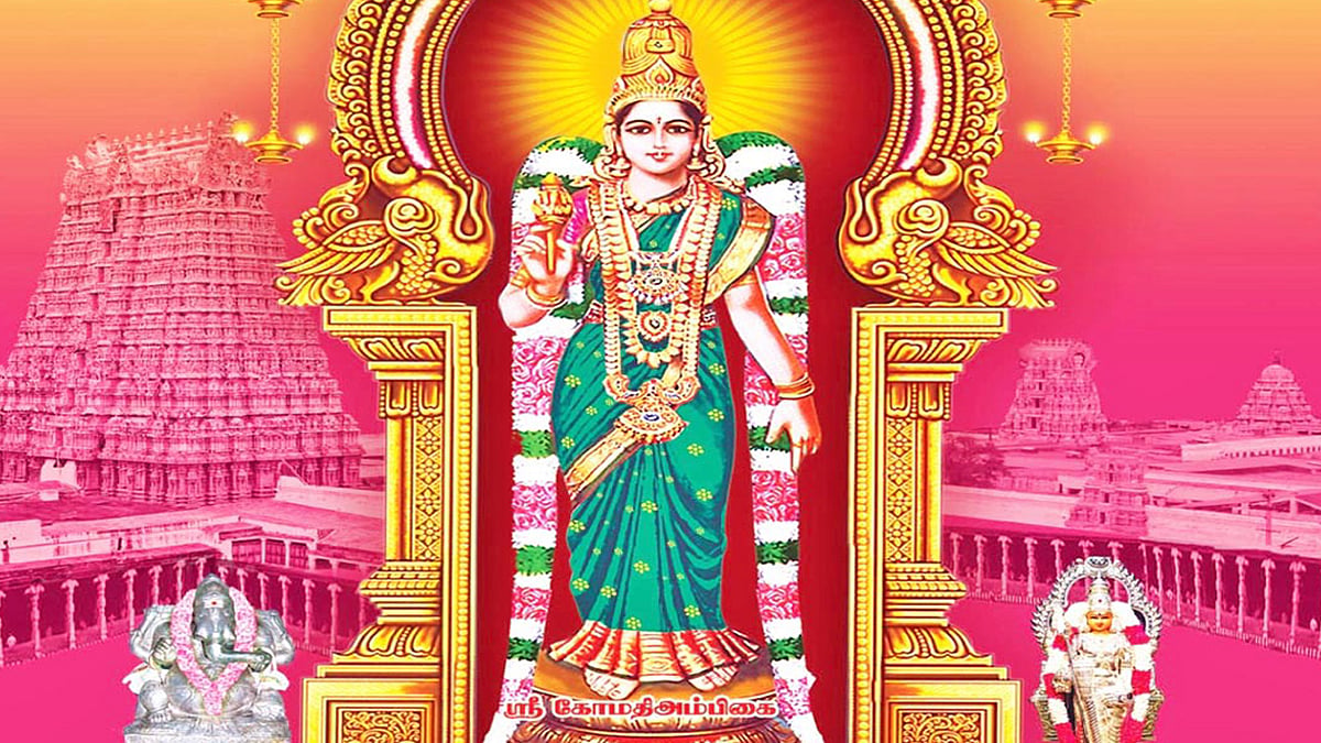 கோமதி அம்மனுக்கான தனிப்பெரும் திருவிழா 