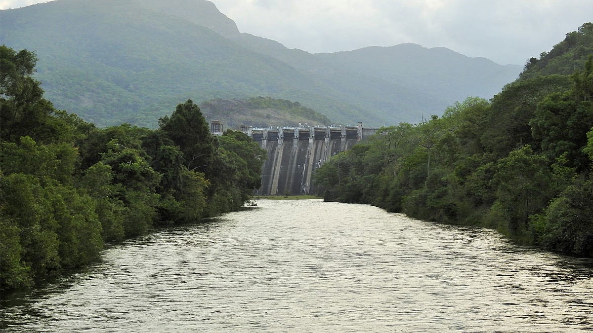 மேற்கு தொடர்ச்சி மலையில் தொடர் மழை: அணைகளின் நீர்மட்டம் உயர்ந்து வருவதால் விவசாயிகள் மகிழ்ச்சி!