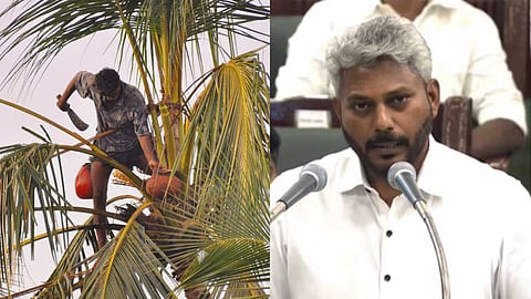 ₹16 crore aid to support palm farmers - Minister Marie Wilson