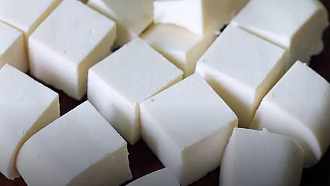 paneer