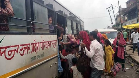 UP Free Bus