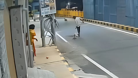 பாலியல் வன்கொடுமை செய்ய முயற்சி - சிறுவனிடம் இருந்து பெண்ணை காப்பாற்றிய தெருநாய்கள்