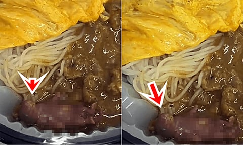 Rat In Noodles 