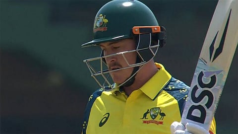 matt renshaw