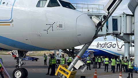 Indigo Flight