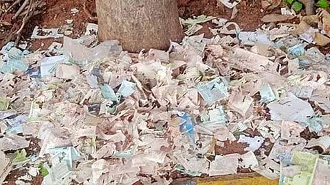 கிழிந்த ரூபாய் நோட்டு குவியல்