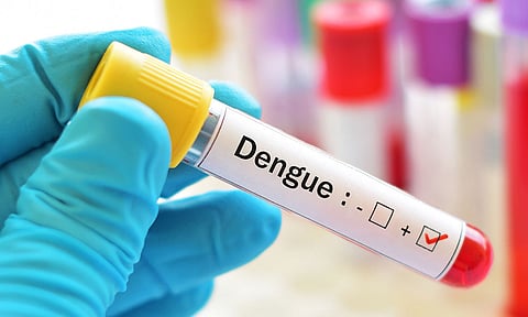 Dengue