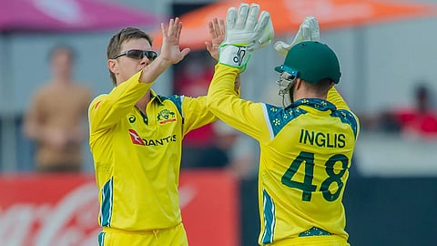 adam zampa