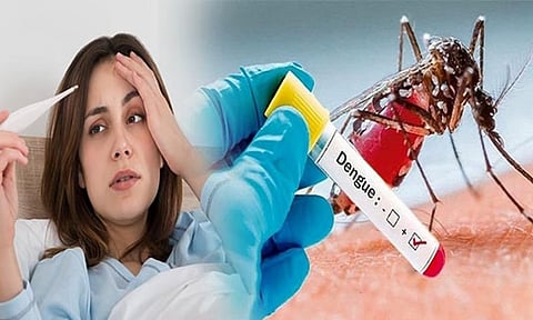 Dengue Fever