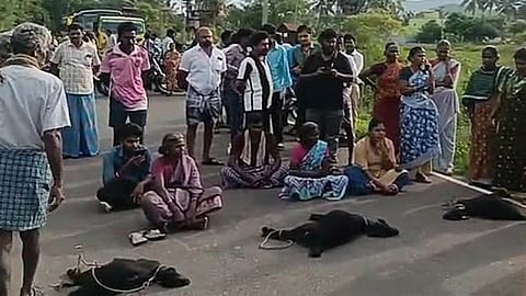 சென்னம்பட்டி வனப்பகுதியை ஒட்டி குடியிருப்பு பகுதியில் சிறுத்தை அட்டகாசம்