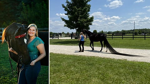 Longest Horse Tail