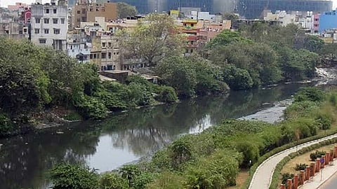 கூவம் நதி