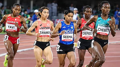 seema kumari