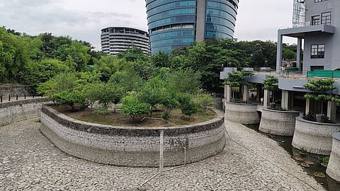 Zoho Complex 