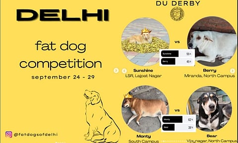 Fat Dog competition