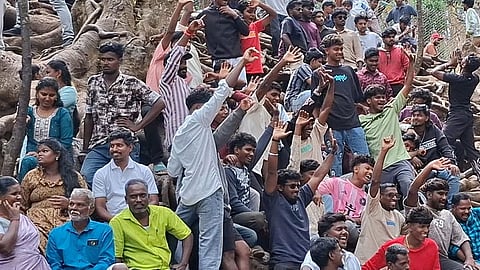 குணா குகை அருகே உள்ள அரிய நாவல் மரங்களின் வேர்களை சுற்றி வேலி அமைக்க முடிவு