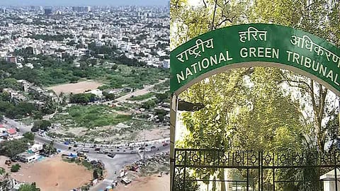 Pattinapakkam - National Green Tribunal
