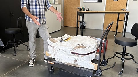 fossils discovered in California