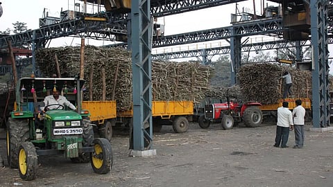 Maharashtra Sugar Dues