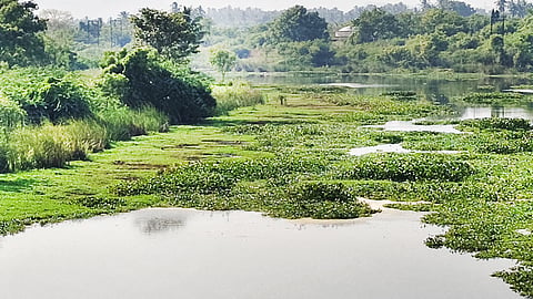 வைகை அணை நீர்மட்டம் 42 அடியாக சரிவு
