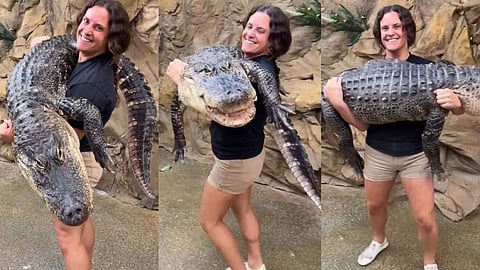 The Reptile Zoo 