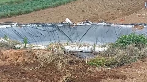 Farm pond
