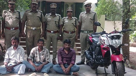 யானை தந்தம் கடத்திய 3 பேர் கைது