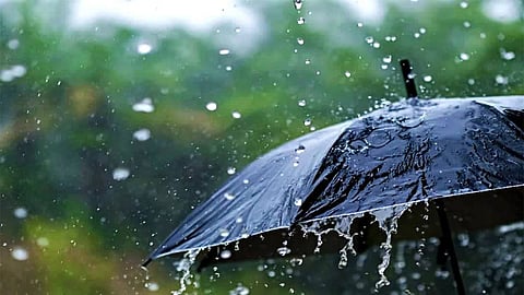 Rain