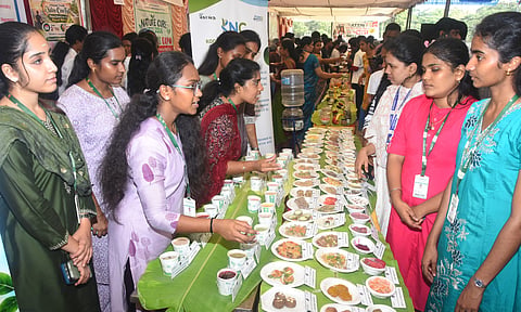 Natural Food Festival 