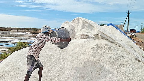 உப்பு உற்பத்தி